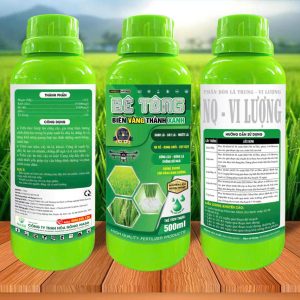 Bê Tông – Biến Vàng Thành Xanh